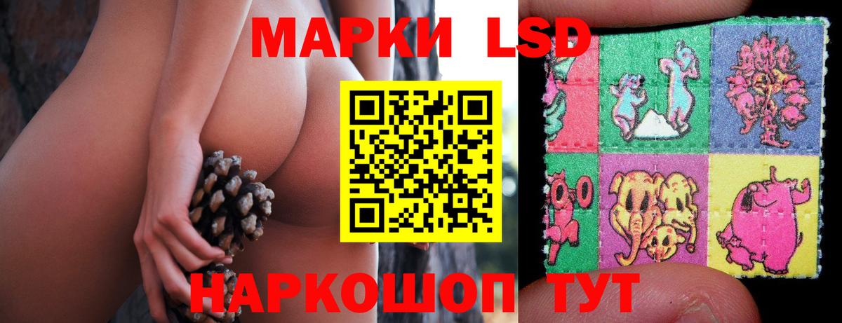 LSD-25 экстази кислота  Вход с VPN  LSD-25 экстази кислота  Великий Новгород 