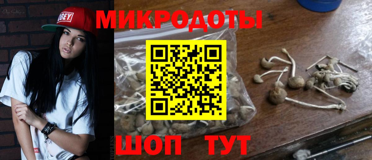 Галлюциногенные грибы Cubensis Великий Новгород