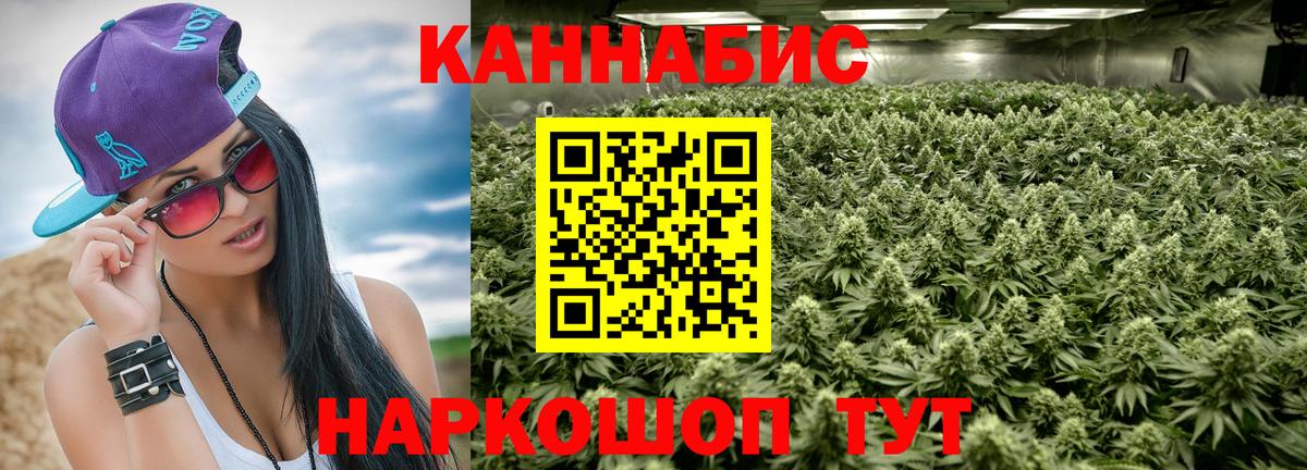 Каннабис планчик  Бошки марихуана сатива  Вход с VPN  Великий Новгород  Конопля Ganja 